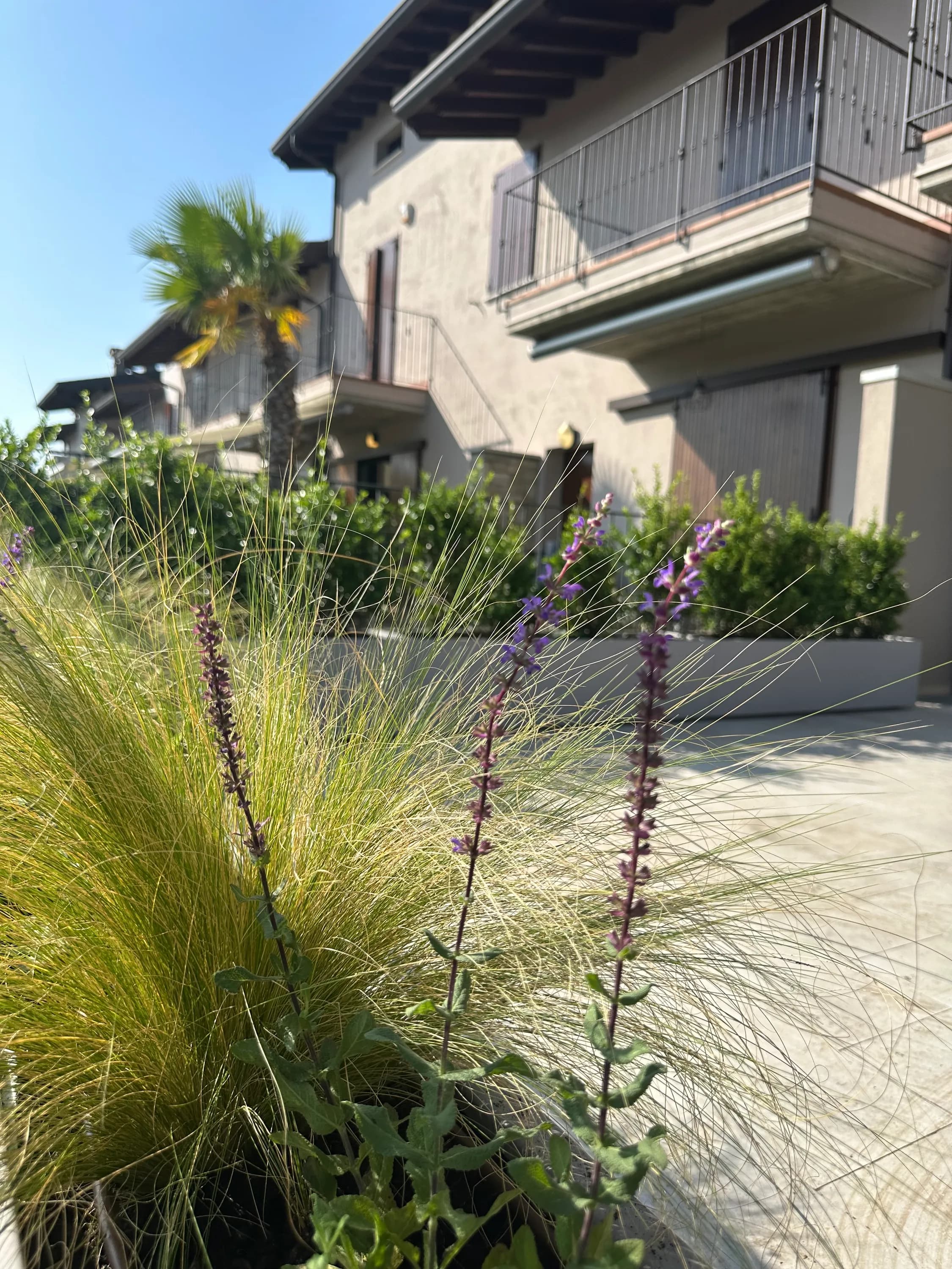 progetto-terrazzo